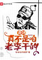 亮剑:真不是咱老李干的